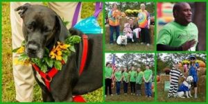 Bark in the Park Preston October Event