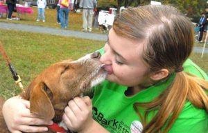 Bark in the Park Preston October Event