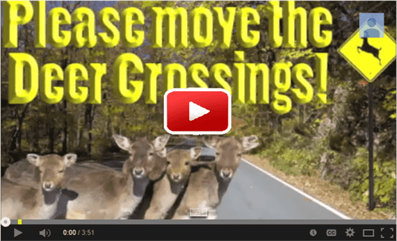 deer vid