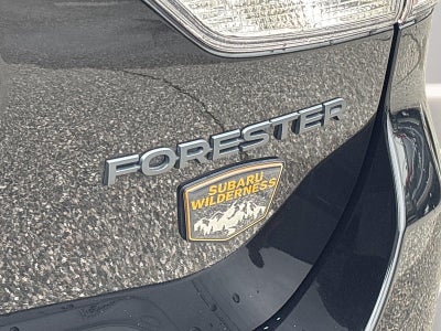 2024 Subaru Forester Wilderness