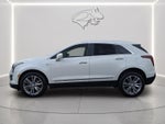 2024 Cadillac XT5 AWD Premium Luxury