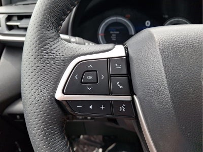 2025 Toyota Sienna Platinum 7-Passenger