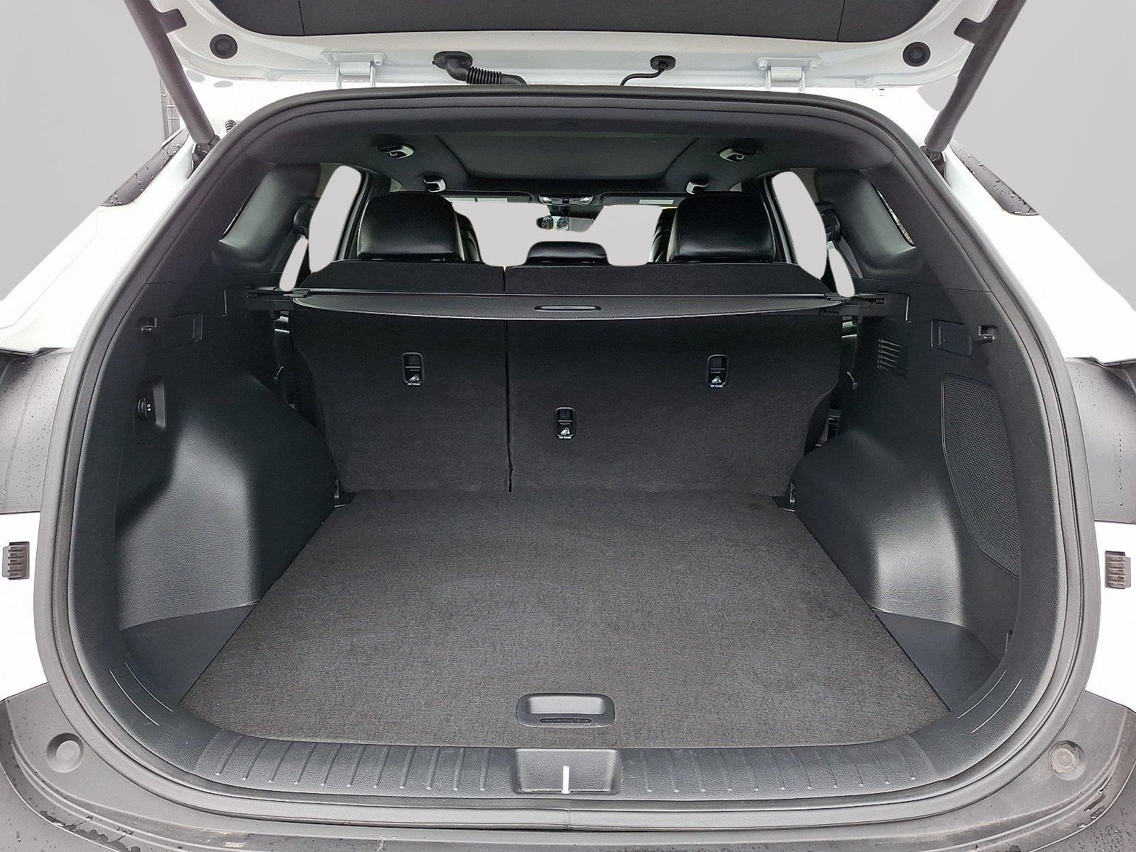 2024 Kia Sportage X-Pro