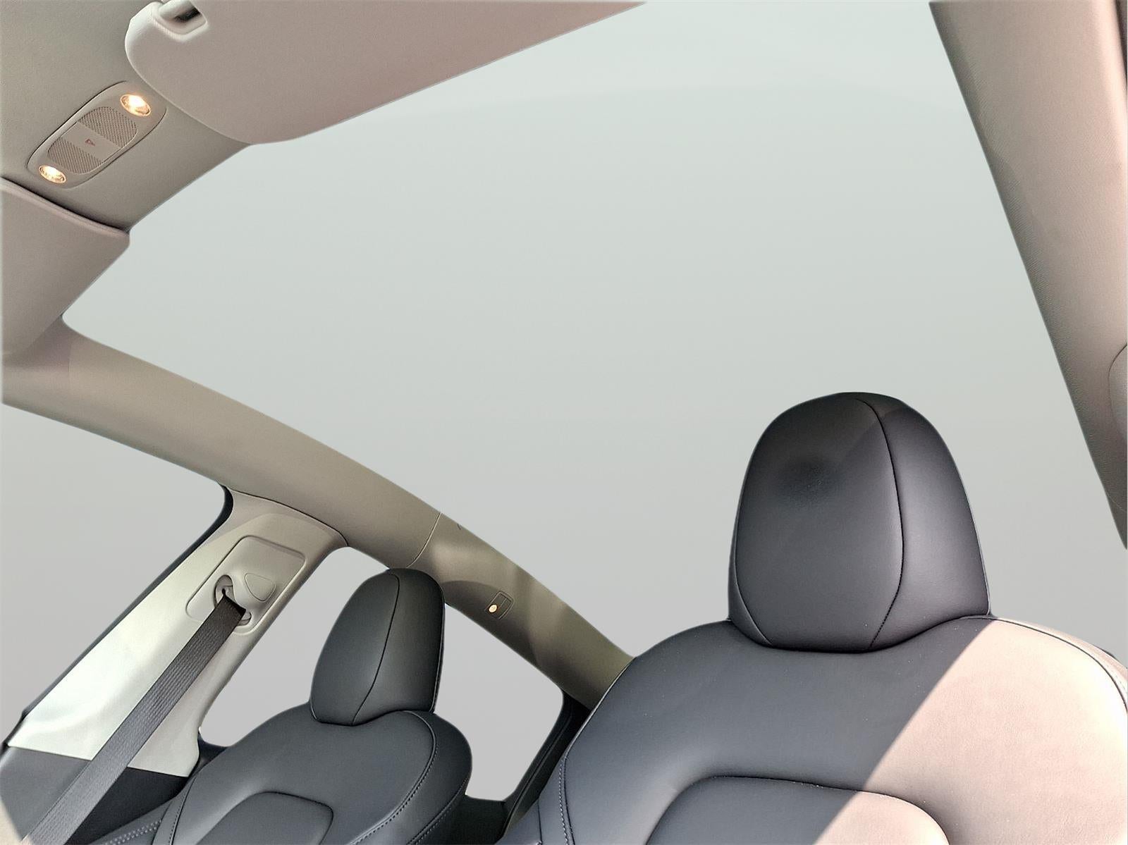 2024 Tesla Model Y Base