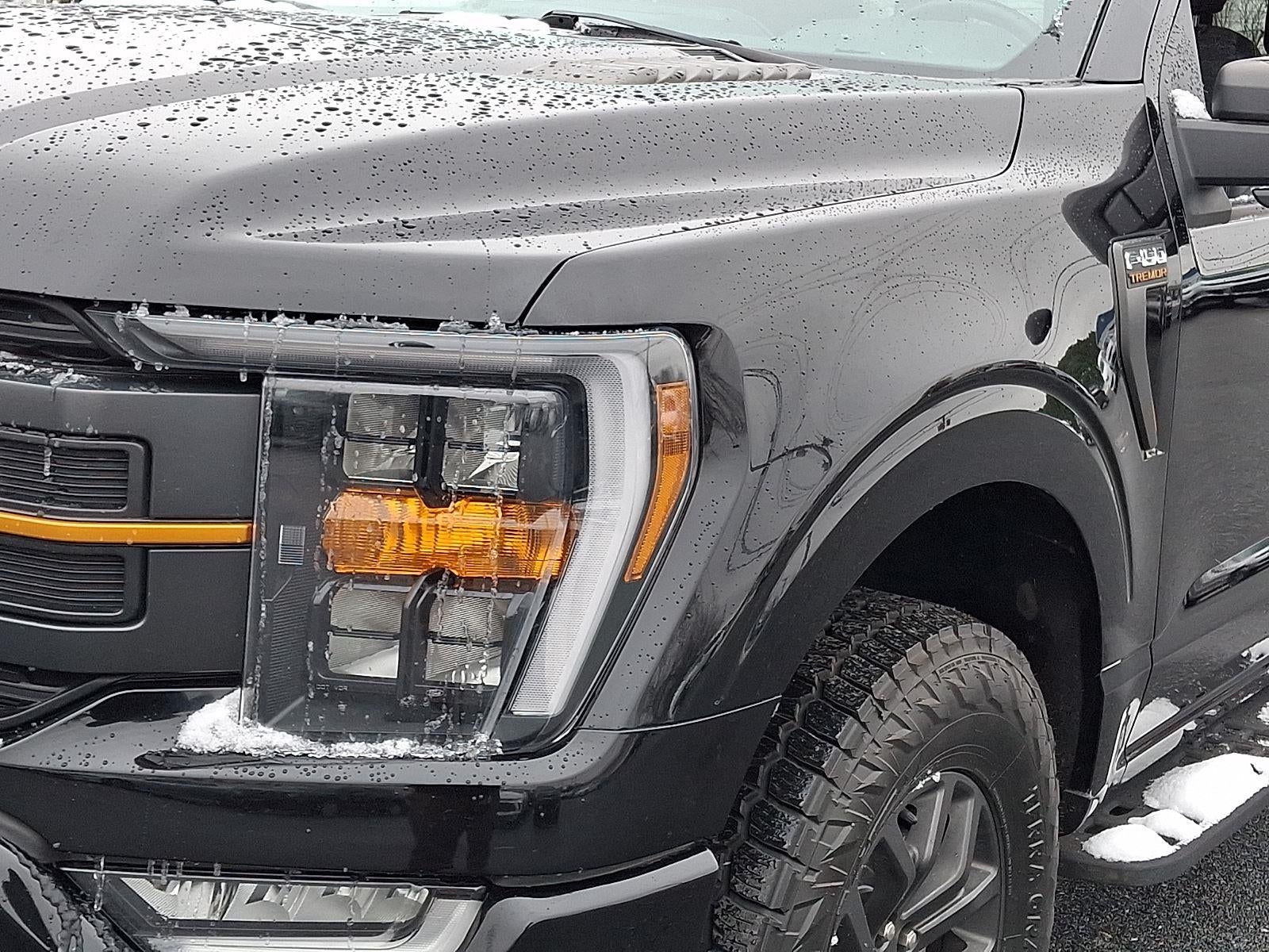 2021 Ford F-150 Tremor