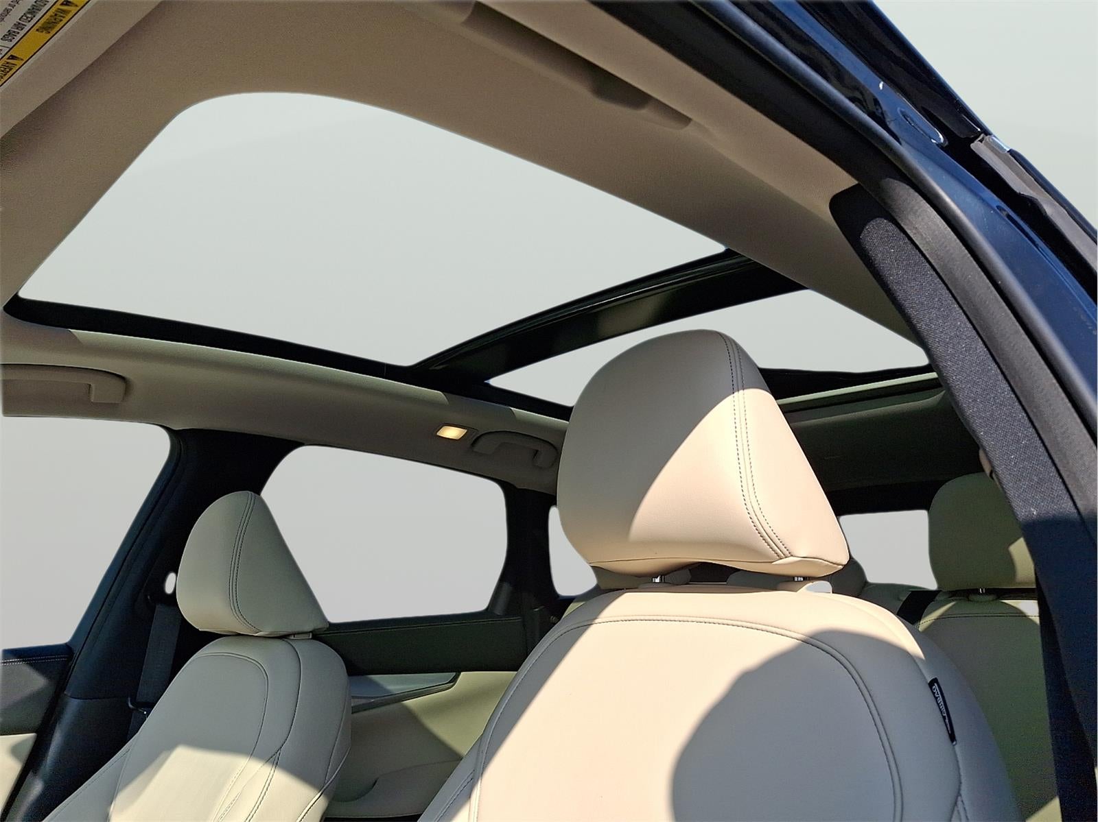 2020 INFINITI QX50 LUXE