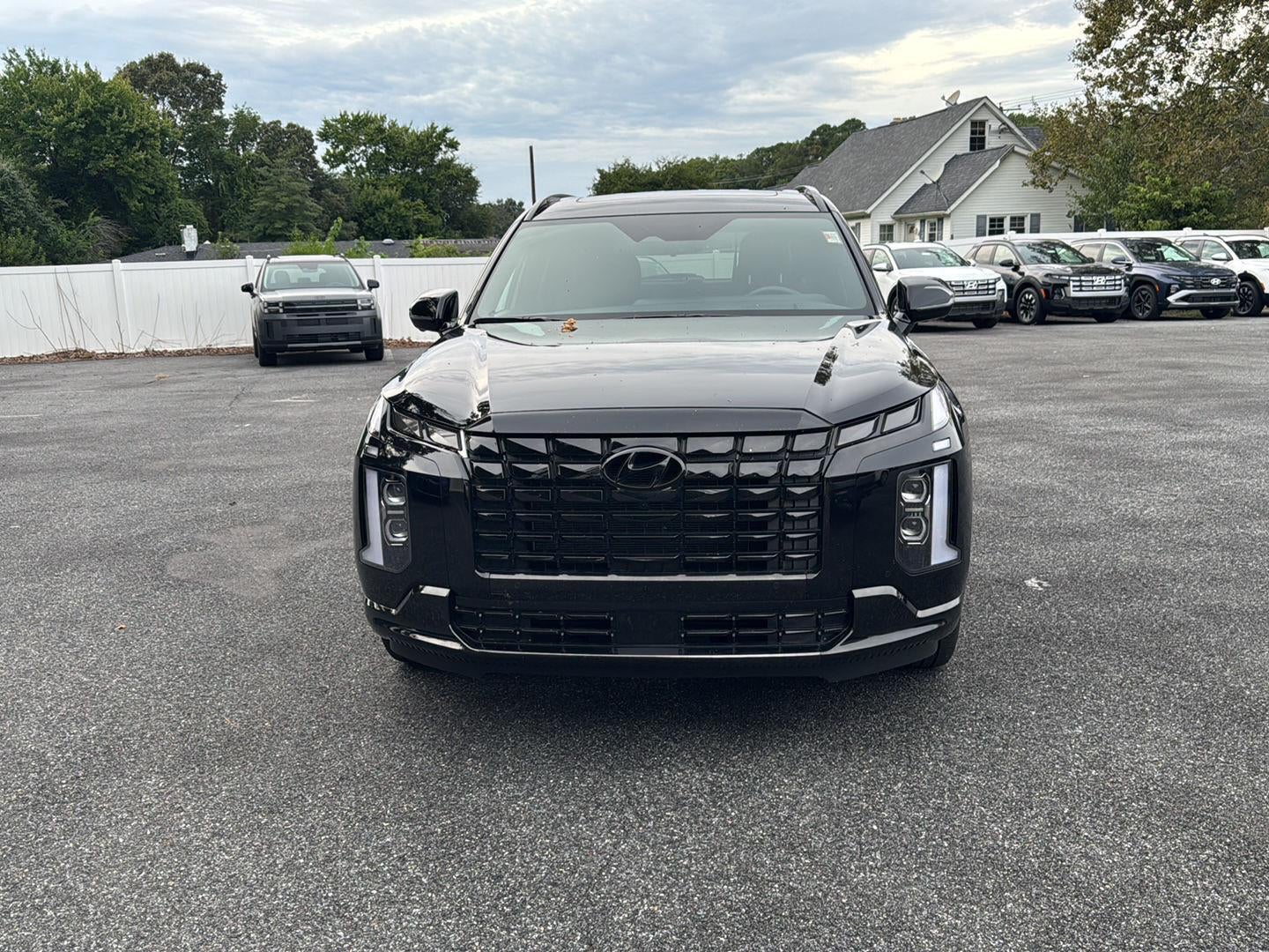 2025 Hyundai Palisade Calligraphy Night Edition