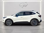 2024 Ford Escape PHEV