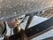 2019 Ford Super Duty F-250 Srw LARIAT