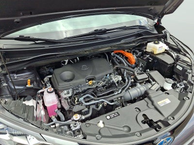 2025 Toyota Sienna Platinum 7-Passenger