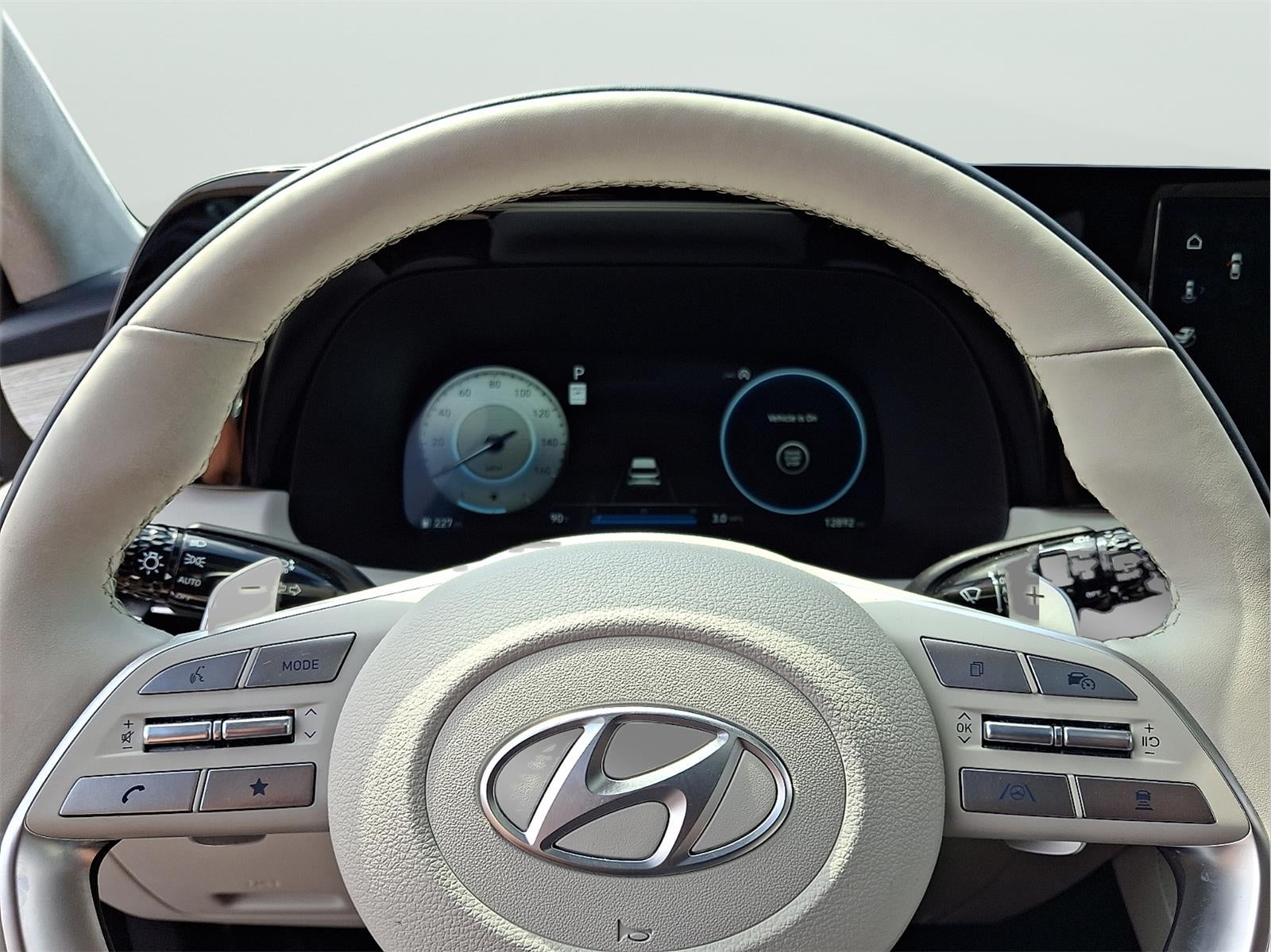2025 Hyundai Palisade Calligraphy