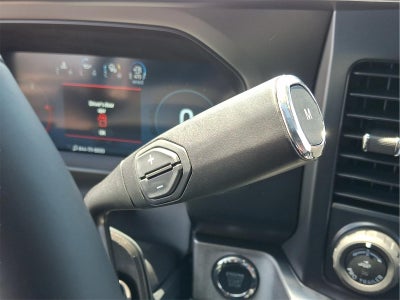 2025 Ford Super Duty F-250 Platinum