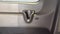 2024 Ford Transit 350 XLT