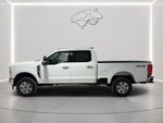 2025 Ford Super Duty F-250 XLT