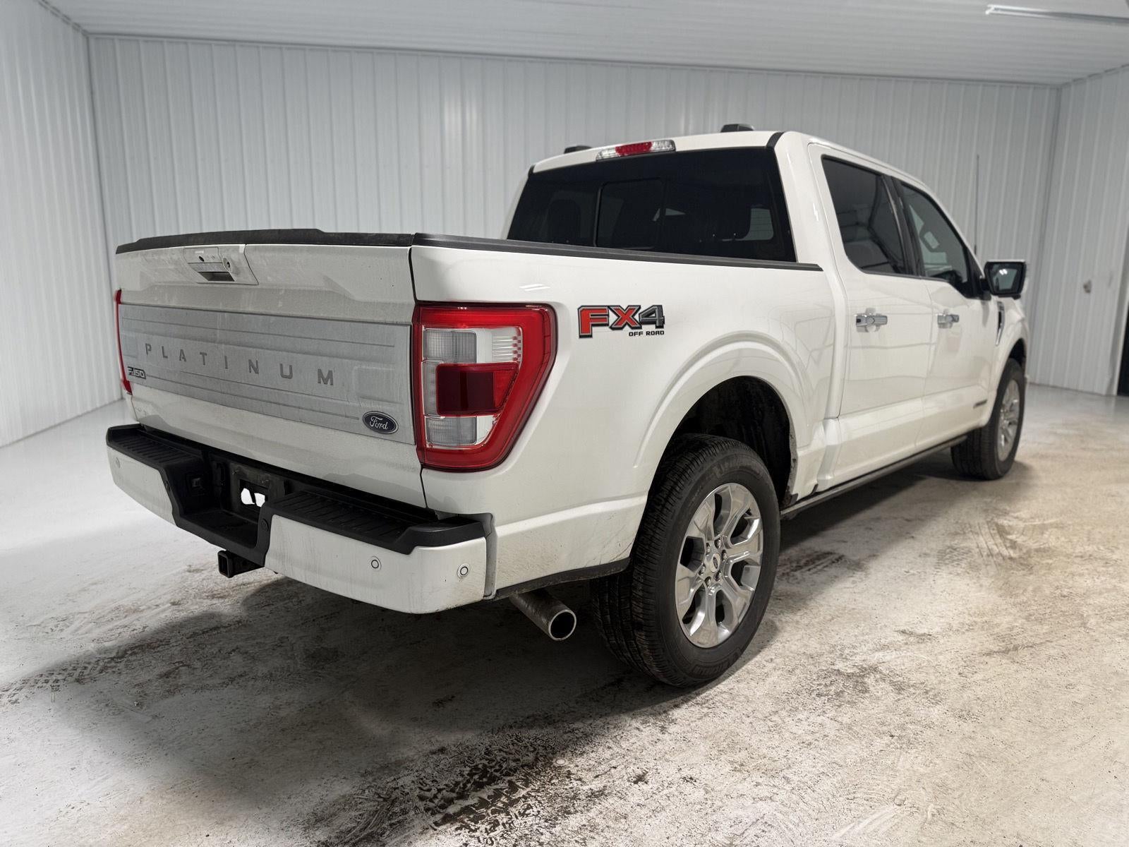 2023 Ford F-150 Platinum