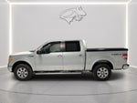 2010 Ford F-150 Platinum