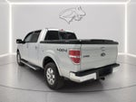 2010 Ford F-150 Platinum