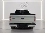 2010 Ford F-150 Platinum