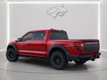 2026 Ford F-150 Rptr