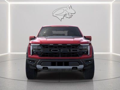 2026 Ford F-150 Rptr
