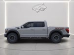 2026 Ford F-150 Rptr