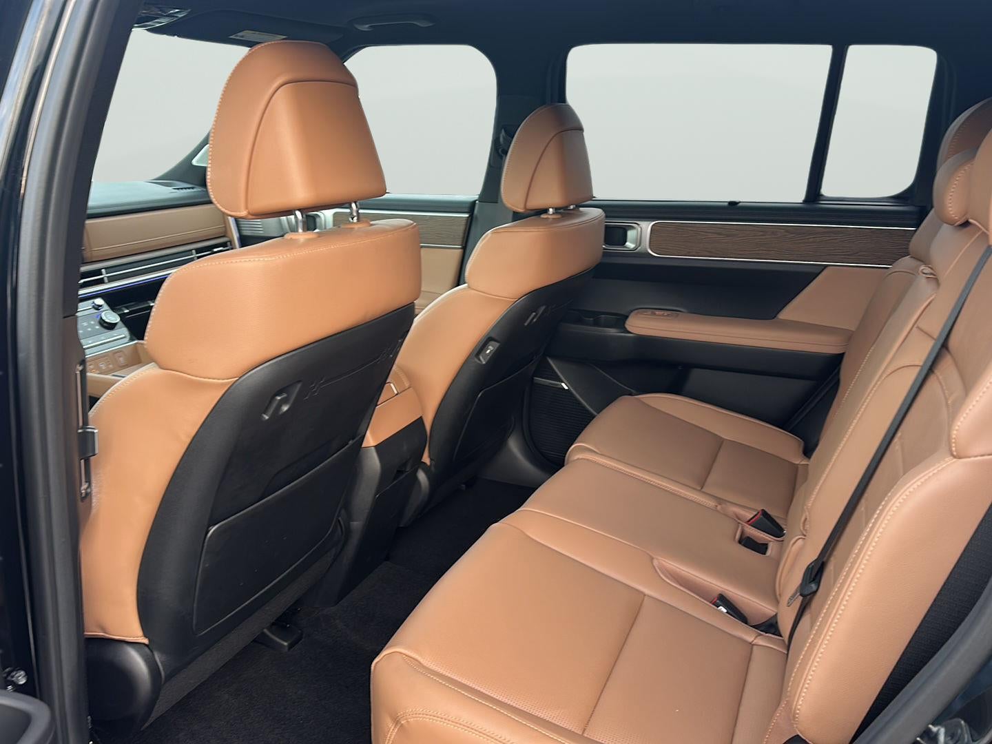 2025 Hyundai SANTA FE LIMI