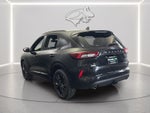 2025 Ford Escape ST-Line Elite