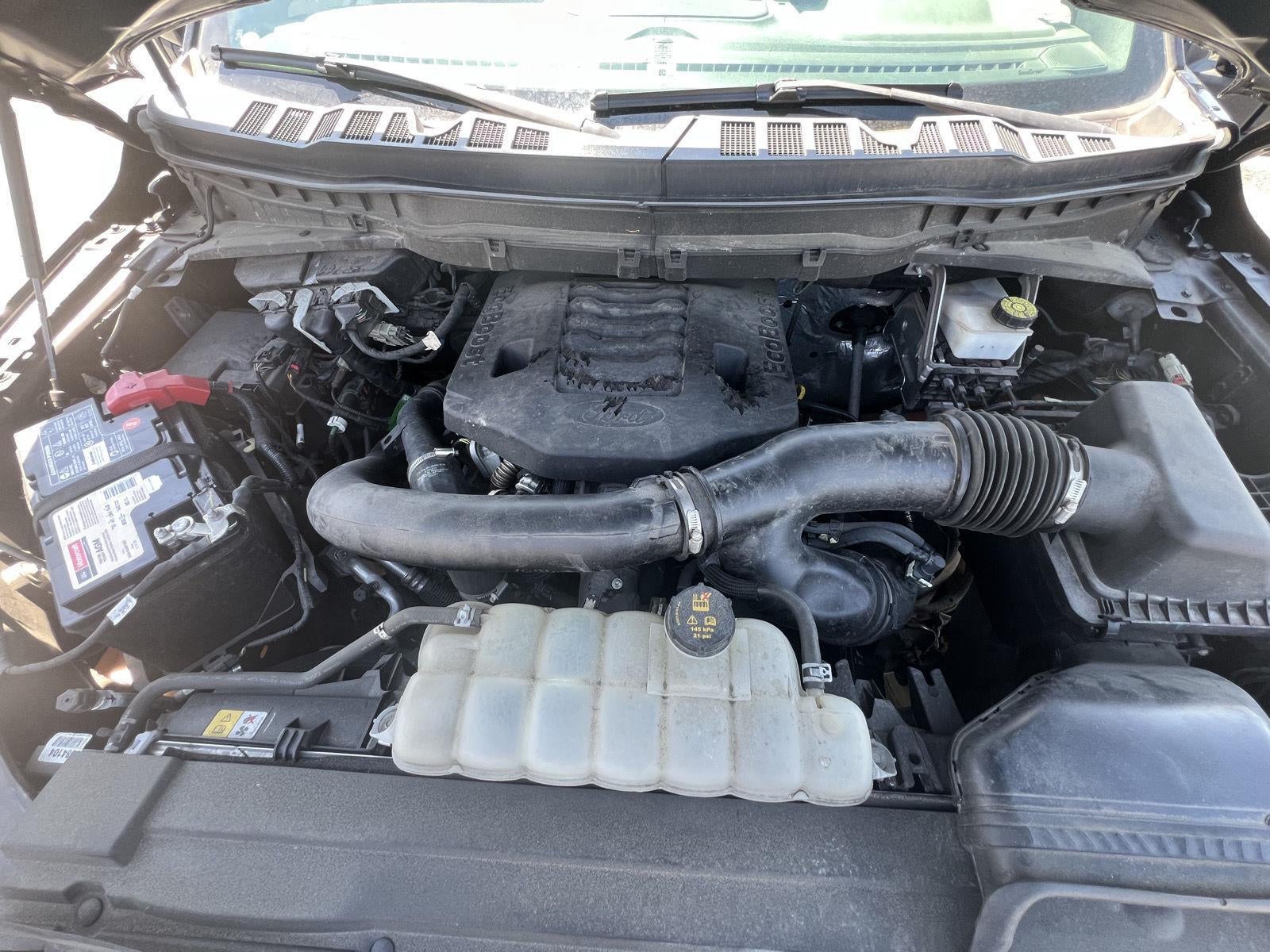 2021 Ford F-150 Tremor