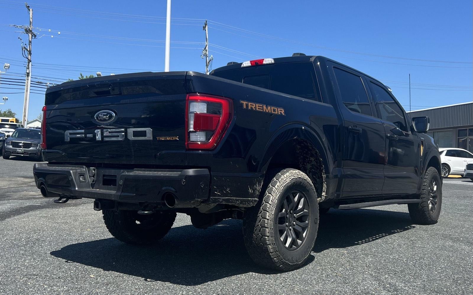 2021 Ford F-150 Tremor