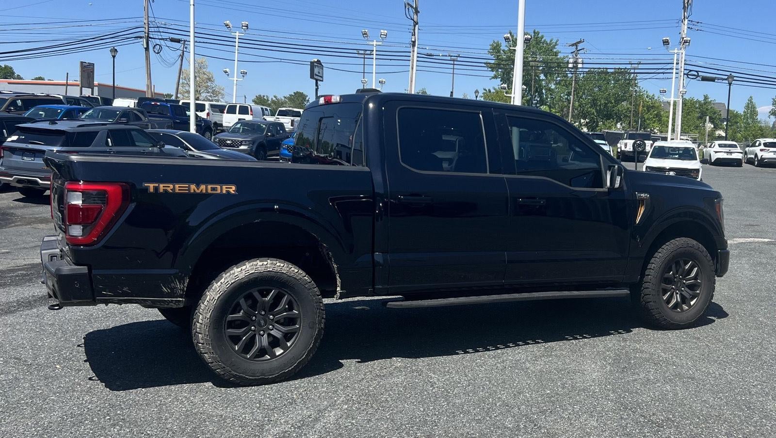2021 Ford F-150 Tremor