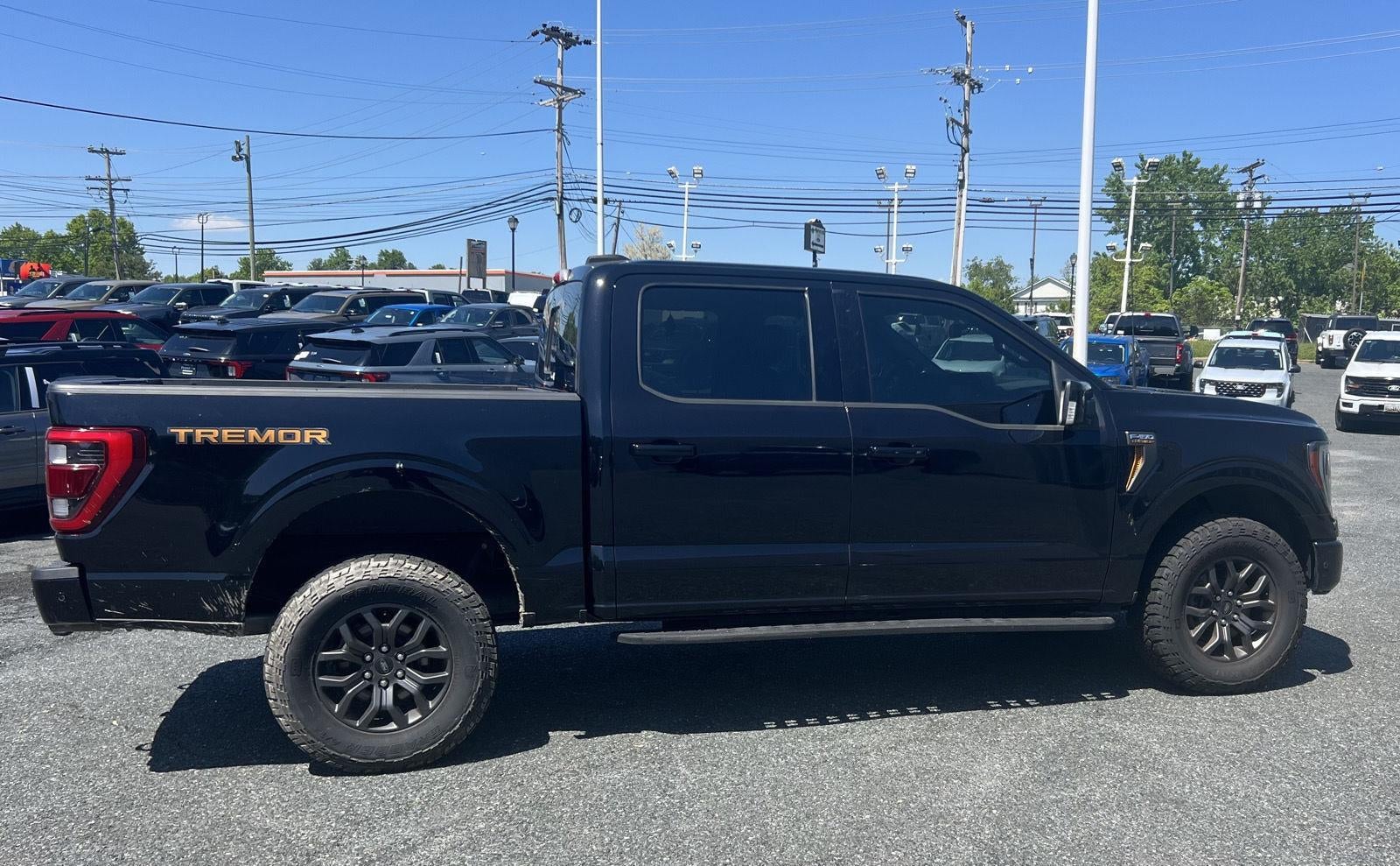 2021 Ford F-150 Tremor