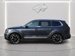 2024 Kia TELLURIDE Base