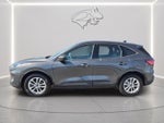 2020 Ford Escape S