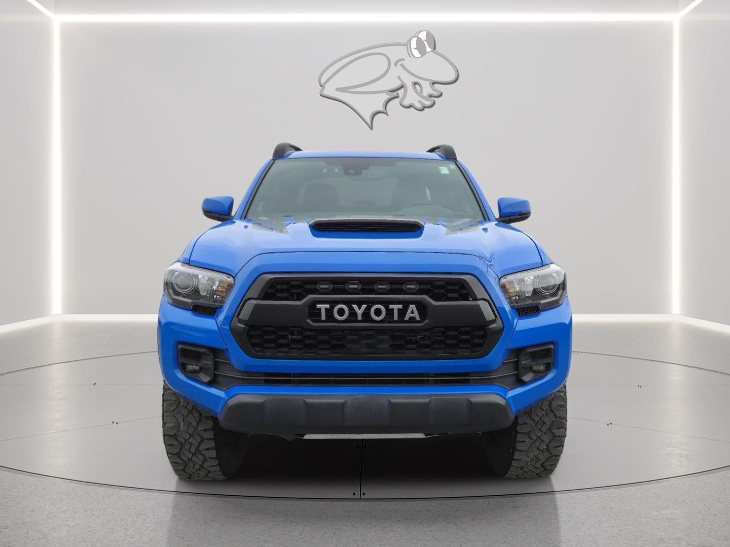 2019 Toyota Tacoma TRD Pro