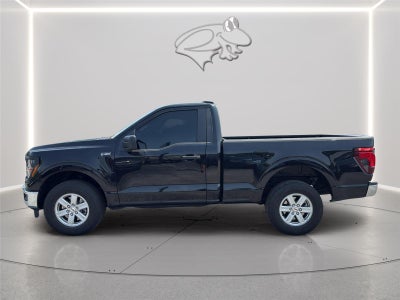 2025 Ford F-150 XL