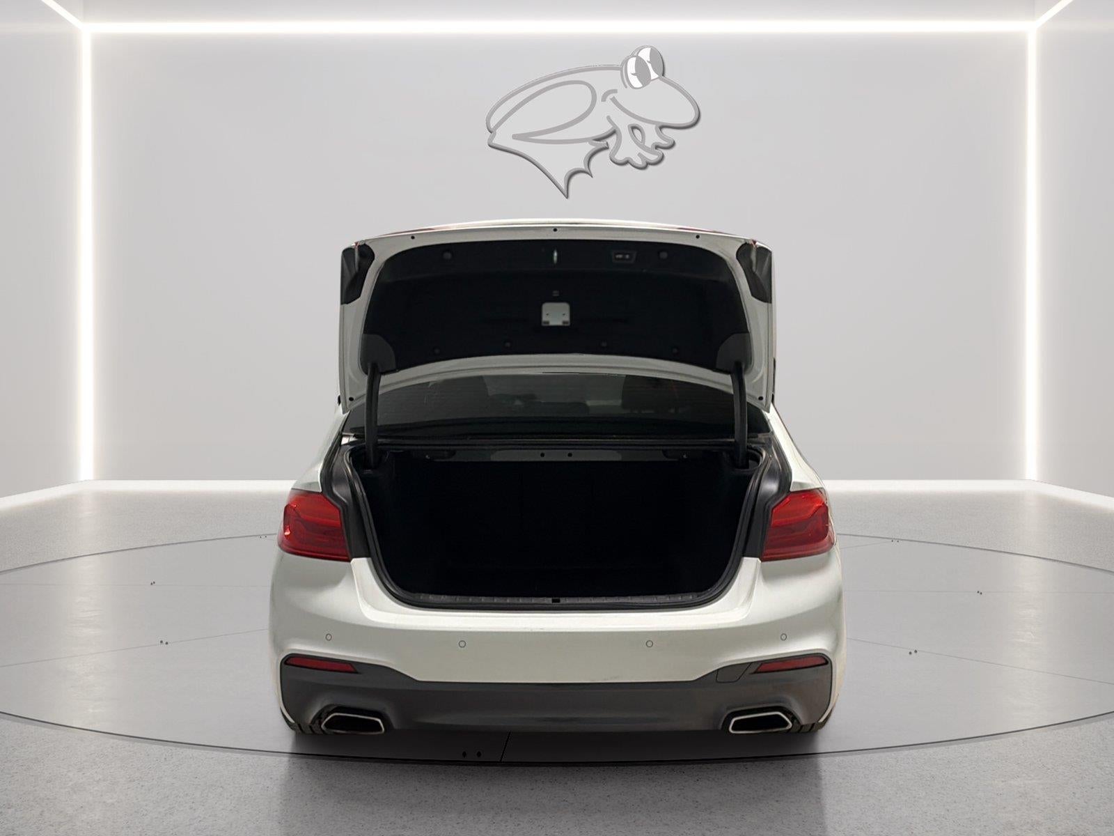 2020 BMW 5 Series 530i xDrive