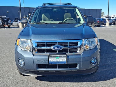 2011 Ford Escape XLT
