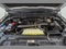 2026 Ford EXPEDITION MAX MAX Platinum®