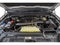 2026 Ford EXPEDITION MAX PLATIN