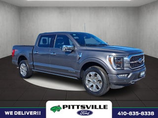 2023 Ford F-150 Platinum