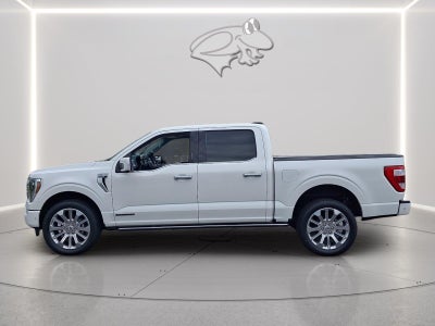 2023 Ford F-150 Limited