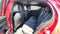 2026 Mazda Mazda3 Hatchback 2.5 Turbo Premium Plus